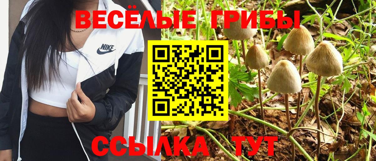Кизляр  Галлюциногенные грибы ЛСД  Псилоцибиновые грибы Psilocybine cubensis  Вход с VPN 