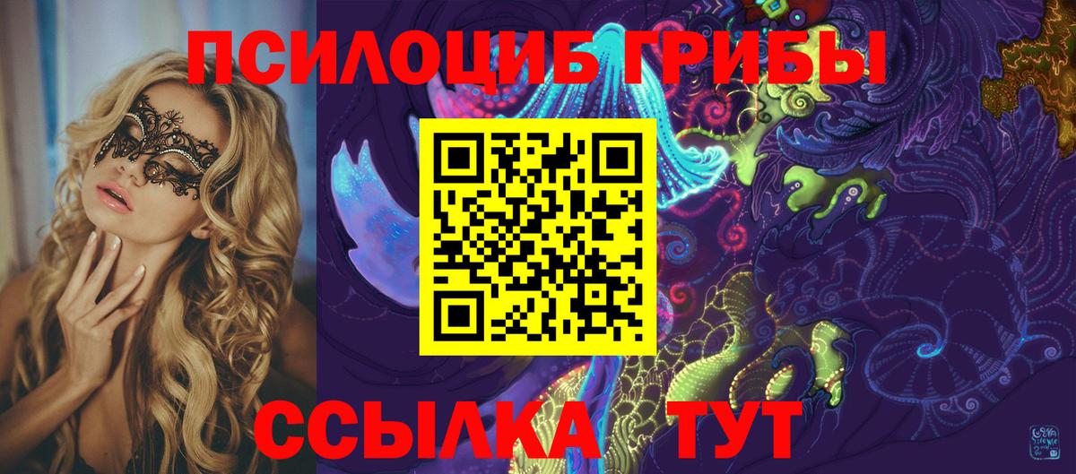 Псилоцибиновые грибы мицелий Кизляр